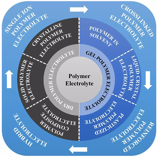 常見聚合物電解質的分類