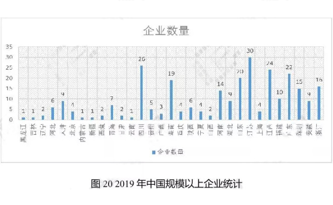 2019年中國規模以上企業統計